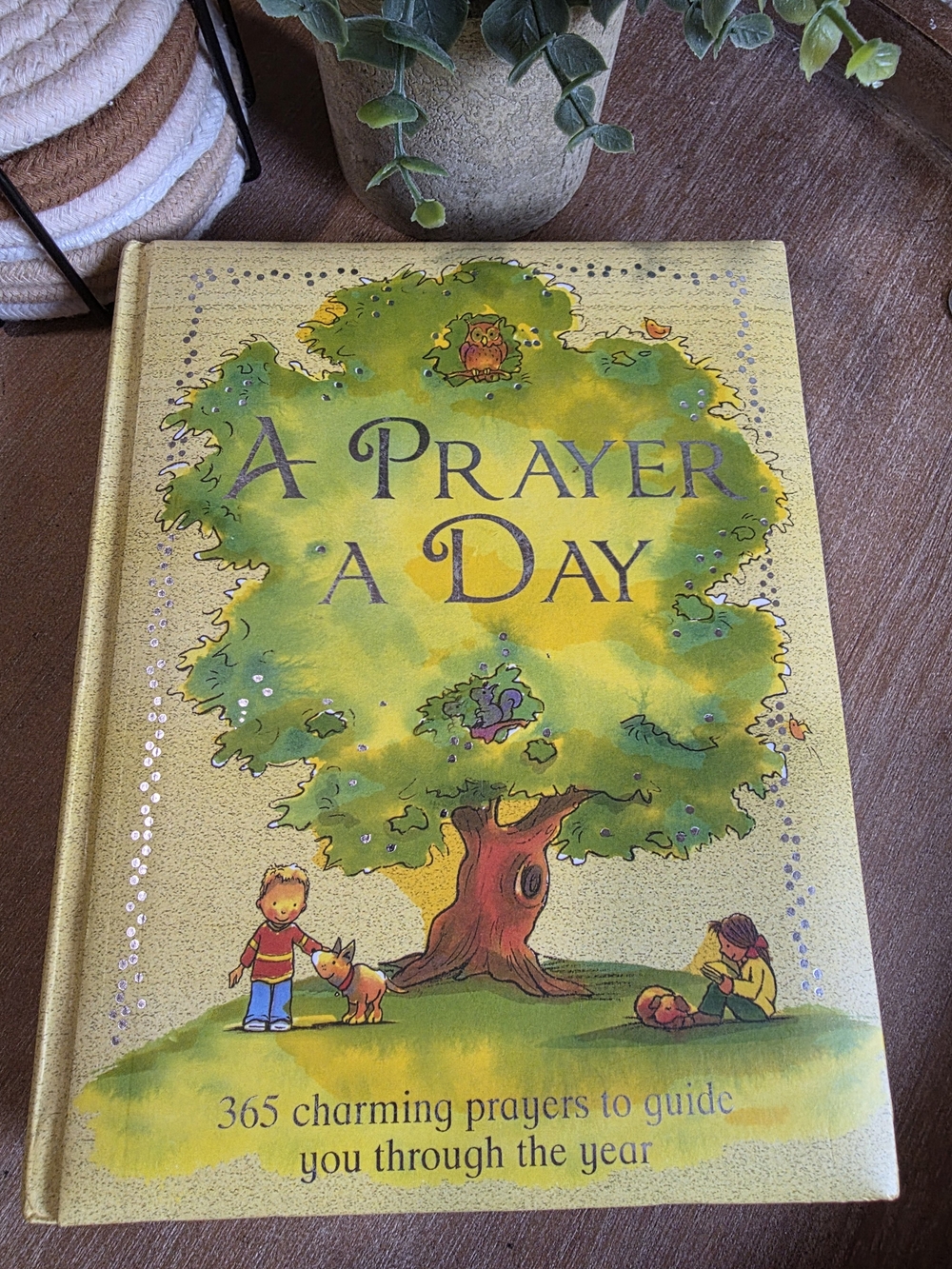 A Prayer A Day Hardcover Book - Meryl Doney & Jan Payne (Illustrated)